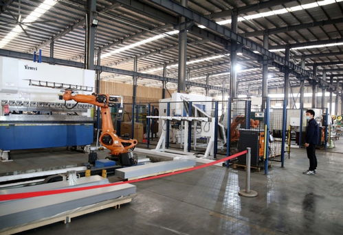 河南西平 智能驅動，加速畜牧設備產業轉型升級